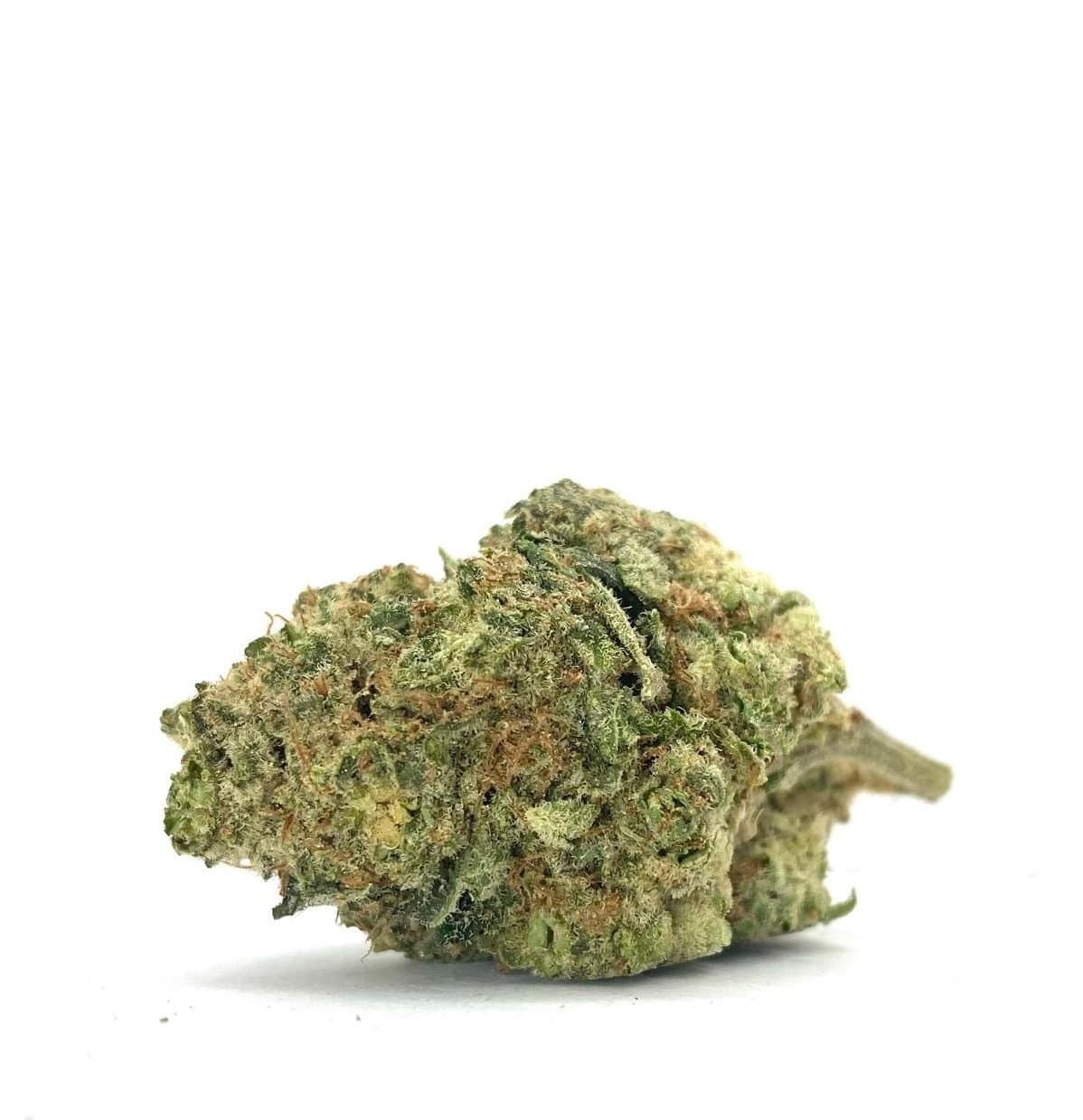 Jackfruit (AAA+)