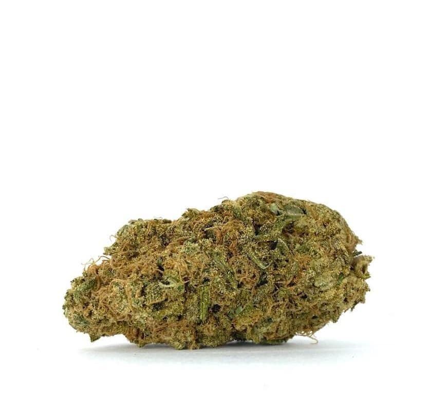 *SALE* Comatose (AAA)