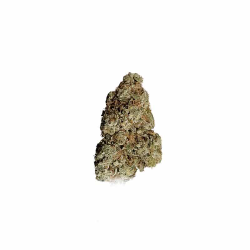 Sensi Star (AAAAA)