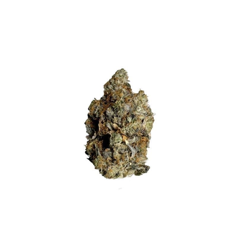 Blue Widow (AAA+)