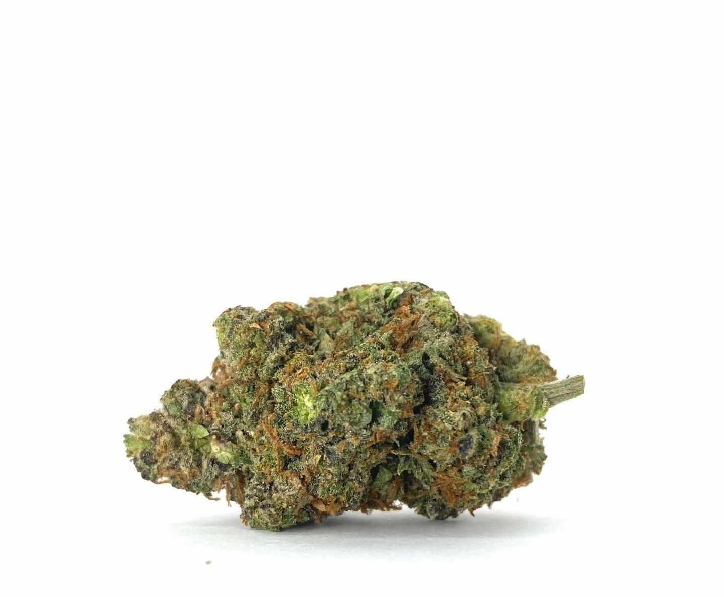 Grease Monkey (AAAA+)