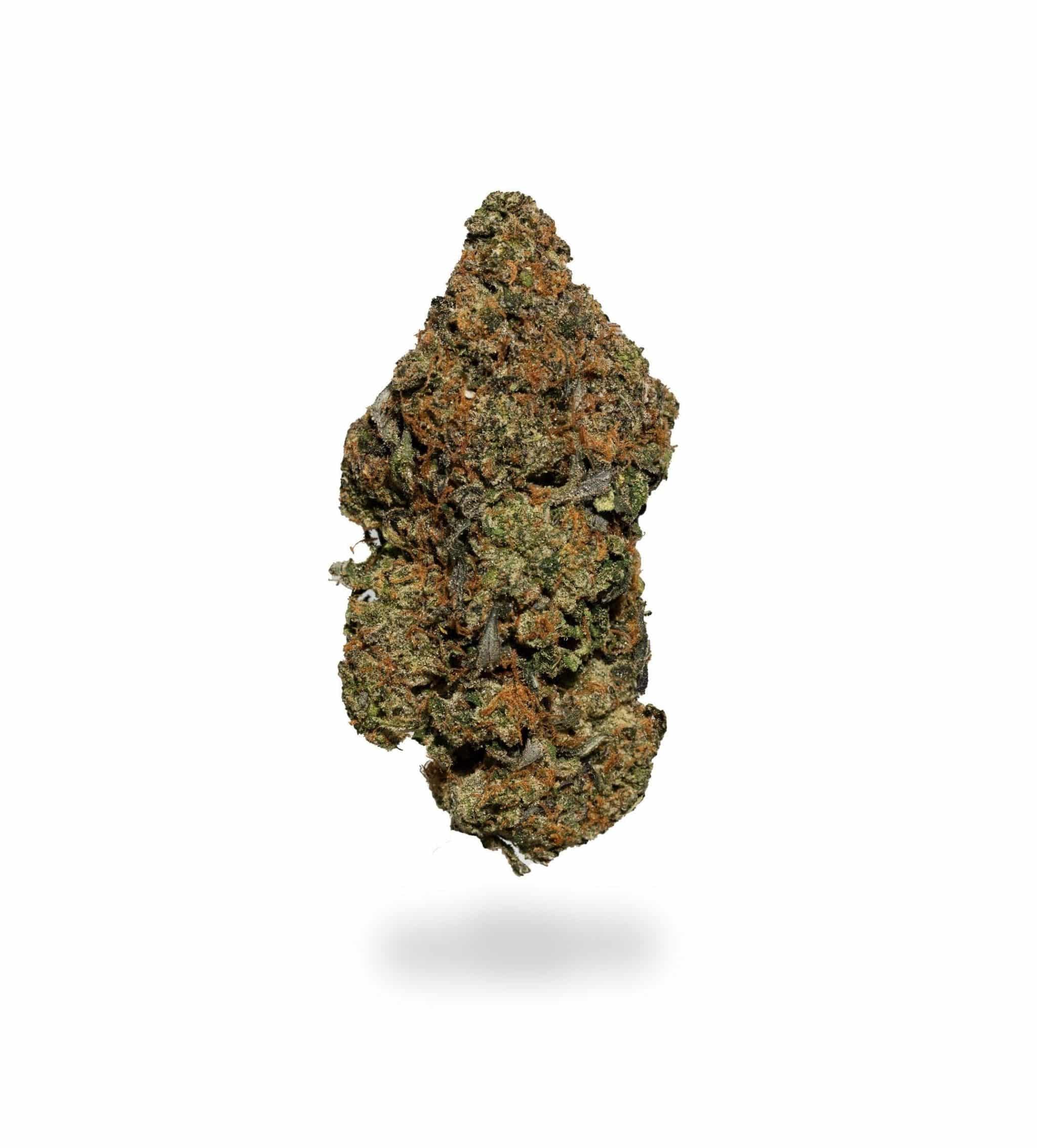 Tropical Breeze (AAA+)