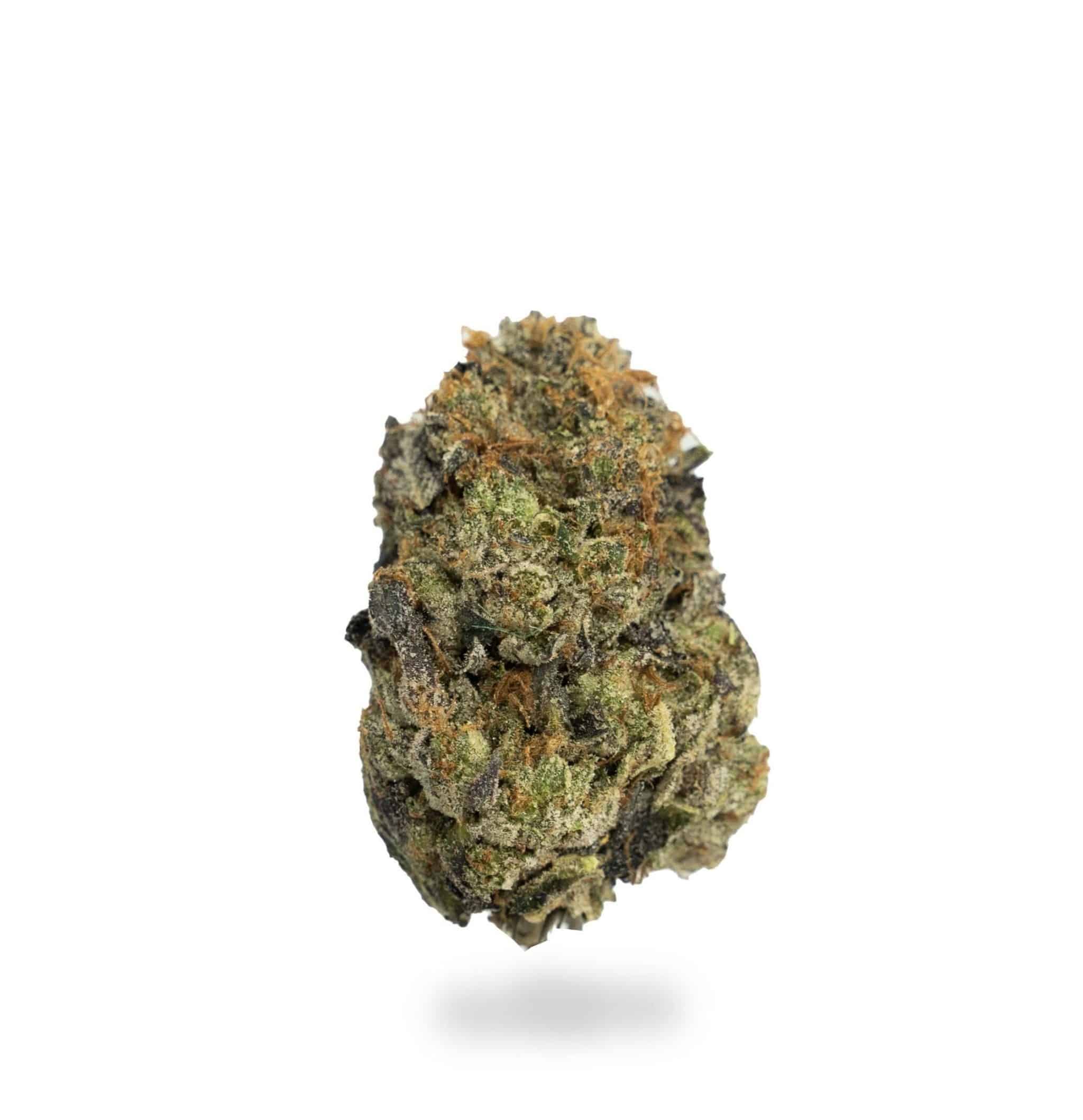 Blue Heron *GAS* (AAAAA)