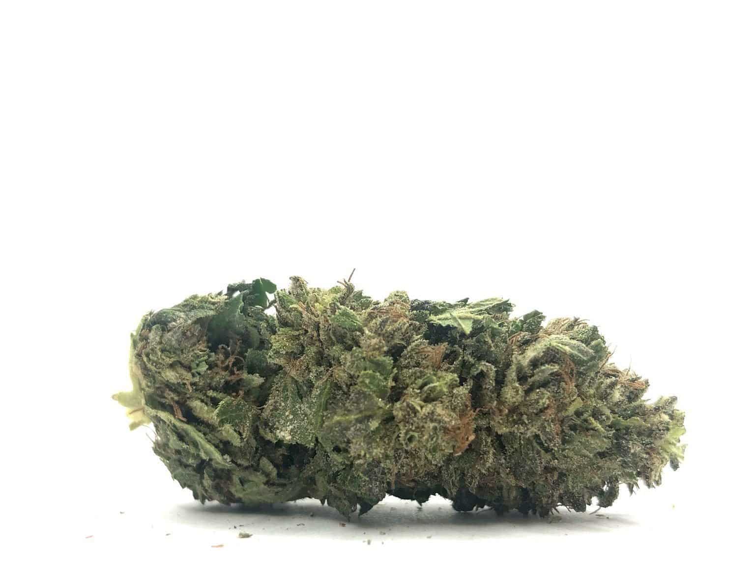 *SALE* Alpha OG (AAA-)