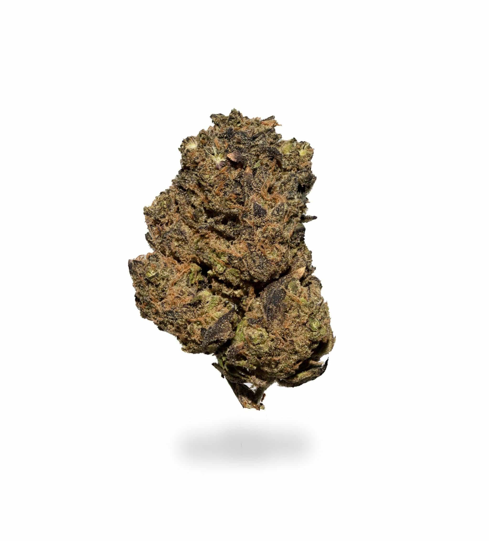 Swiss Indica (AA)