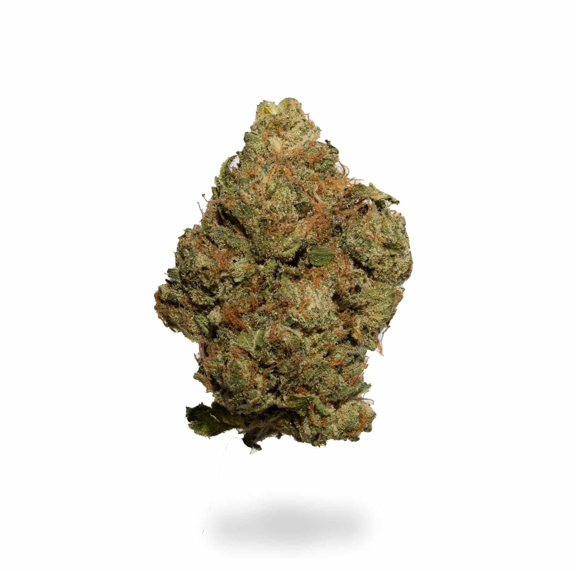 Sweet Black Angel (AAA)