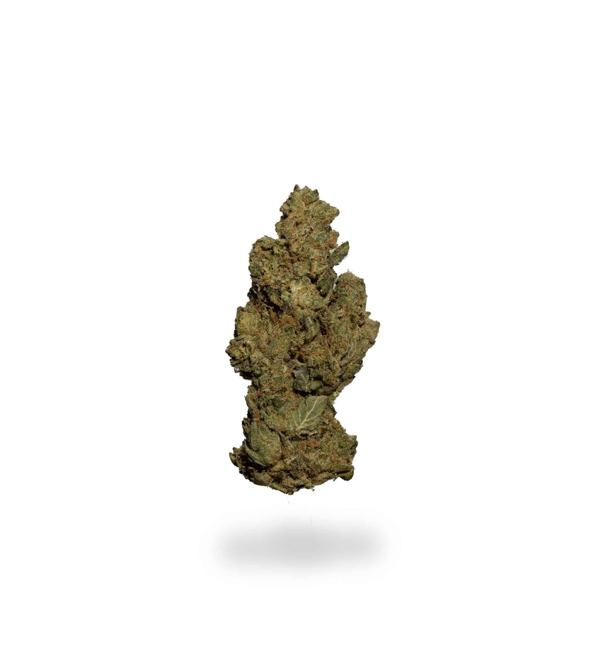 White Widow (AA-)