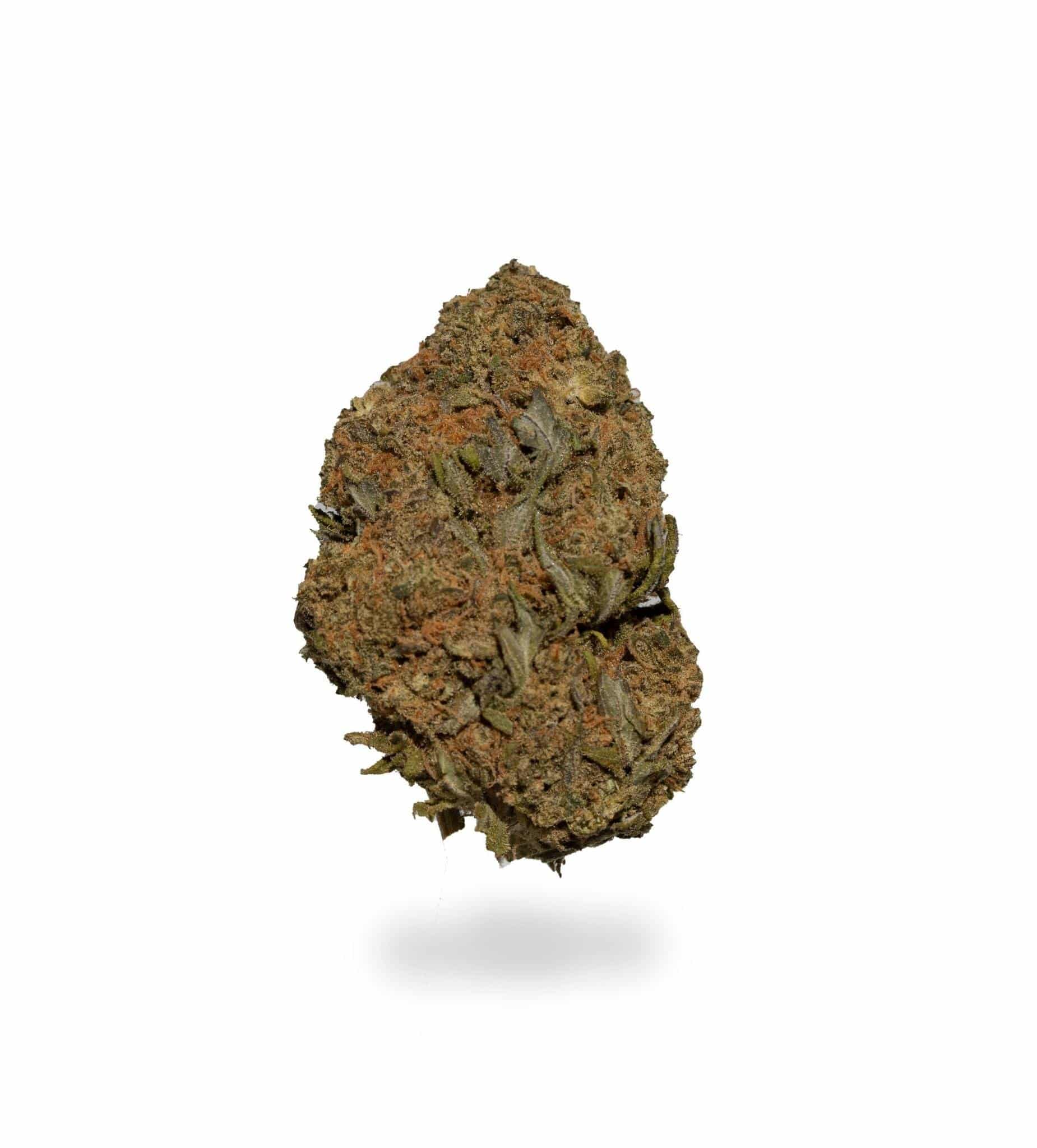 Gods Gift (AAA)