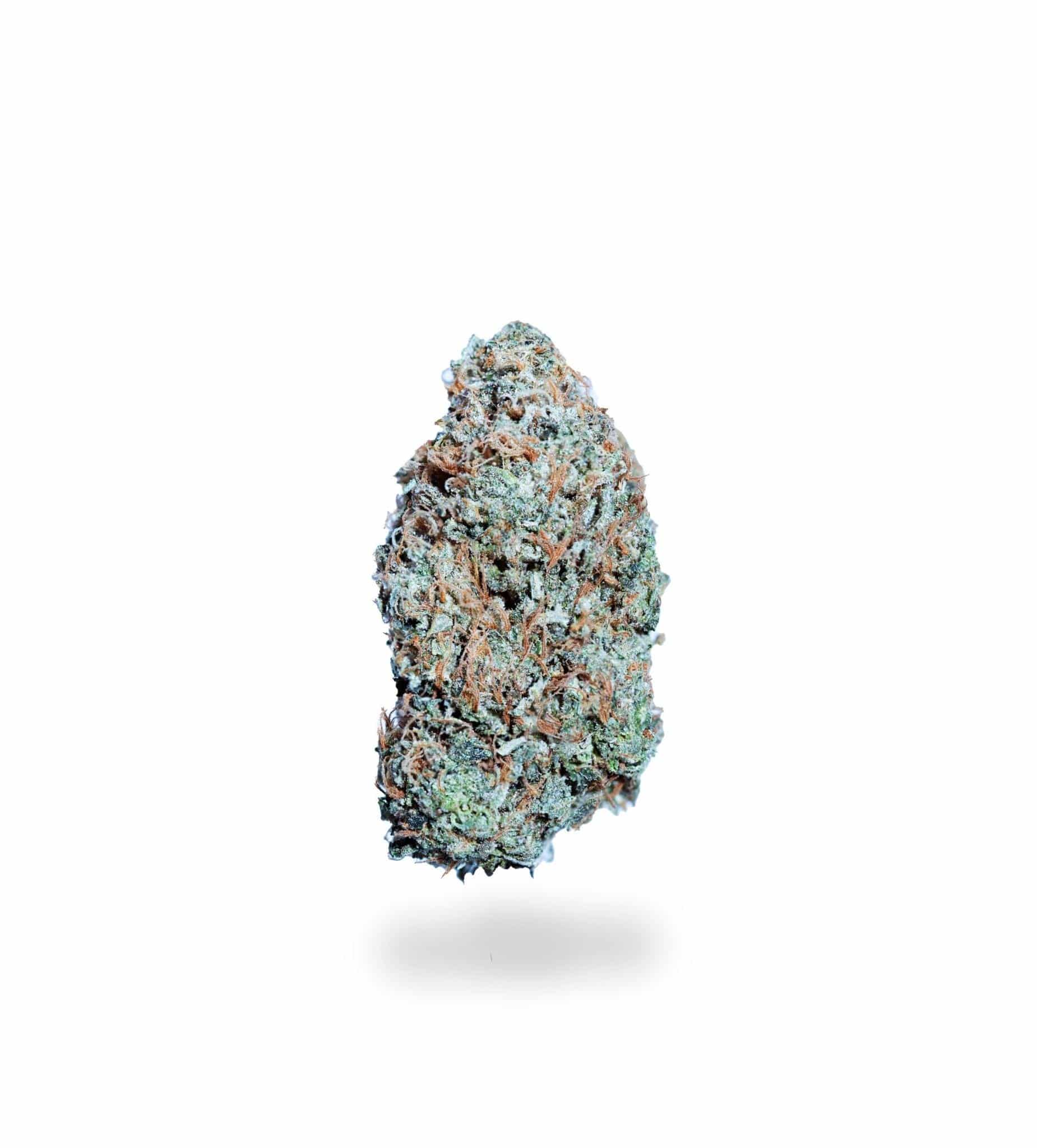 El Chapo OG (small quads) (AAA)