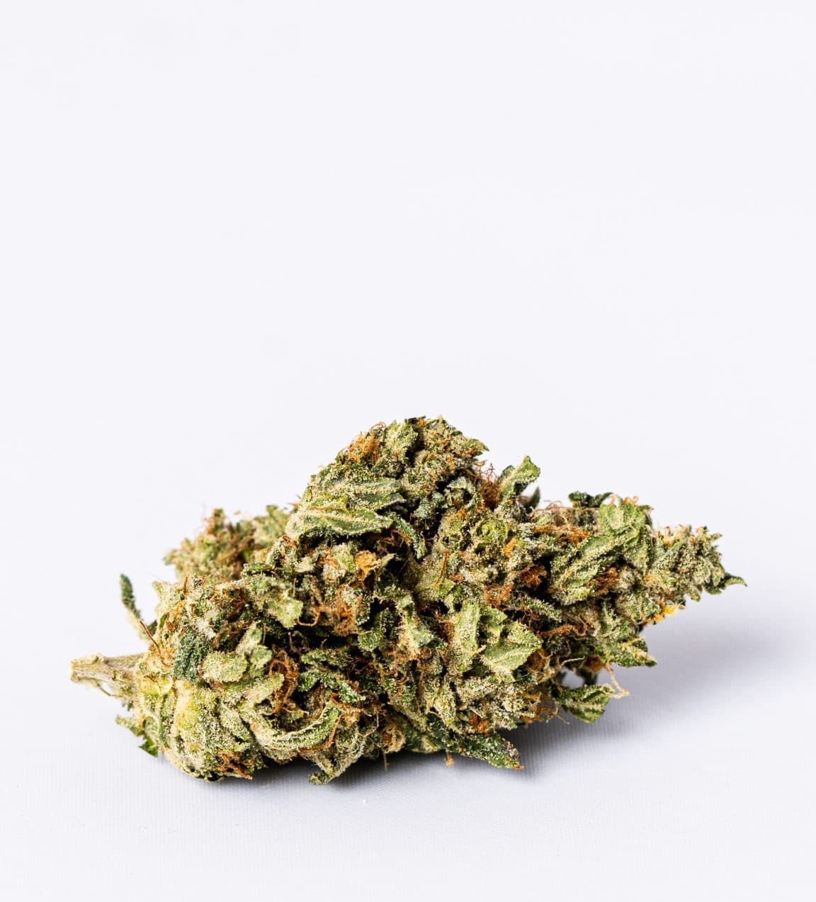 Violator Kush (AAAA-)