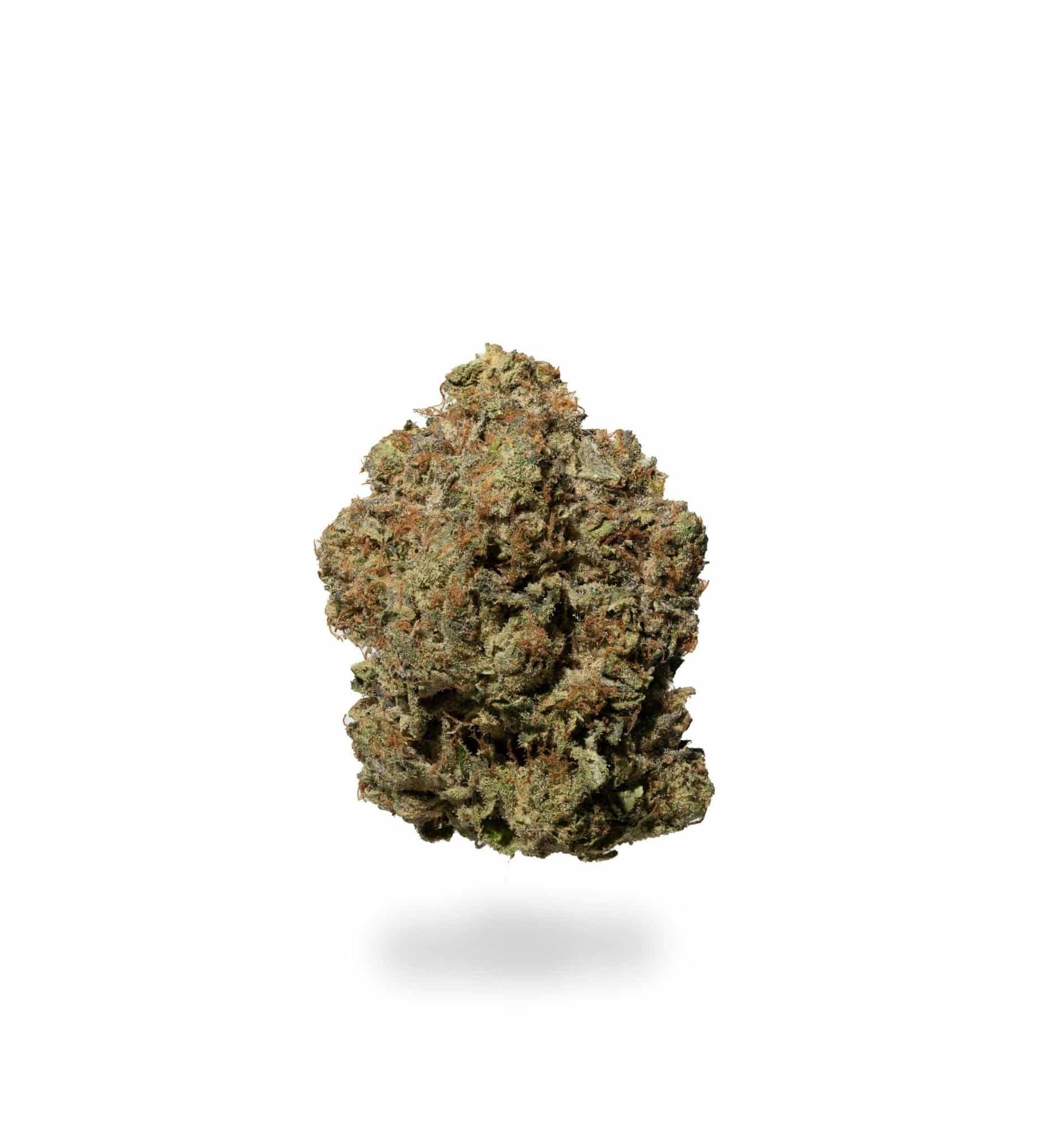Jelly Roll (AAAA+)