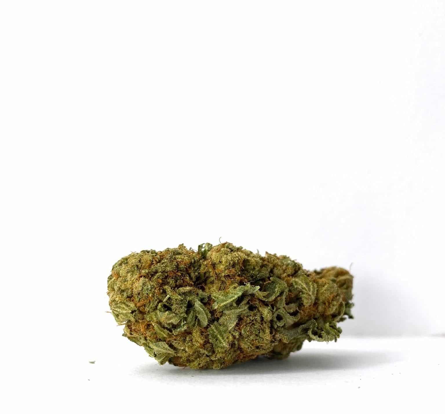 Key Lime Pie (AA)