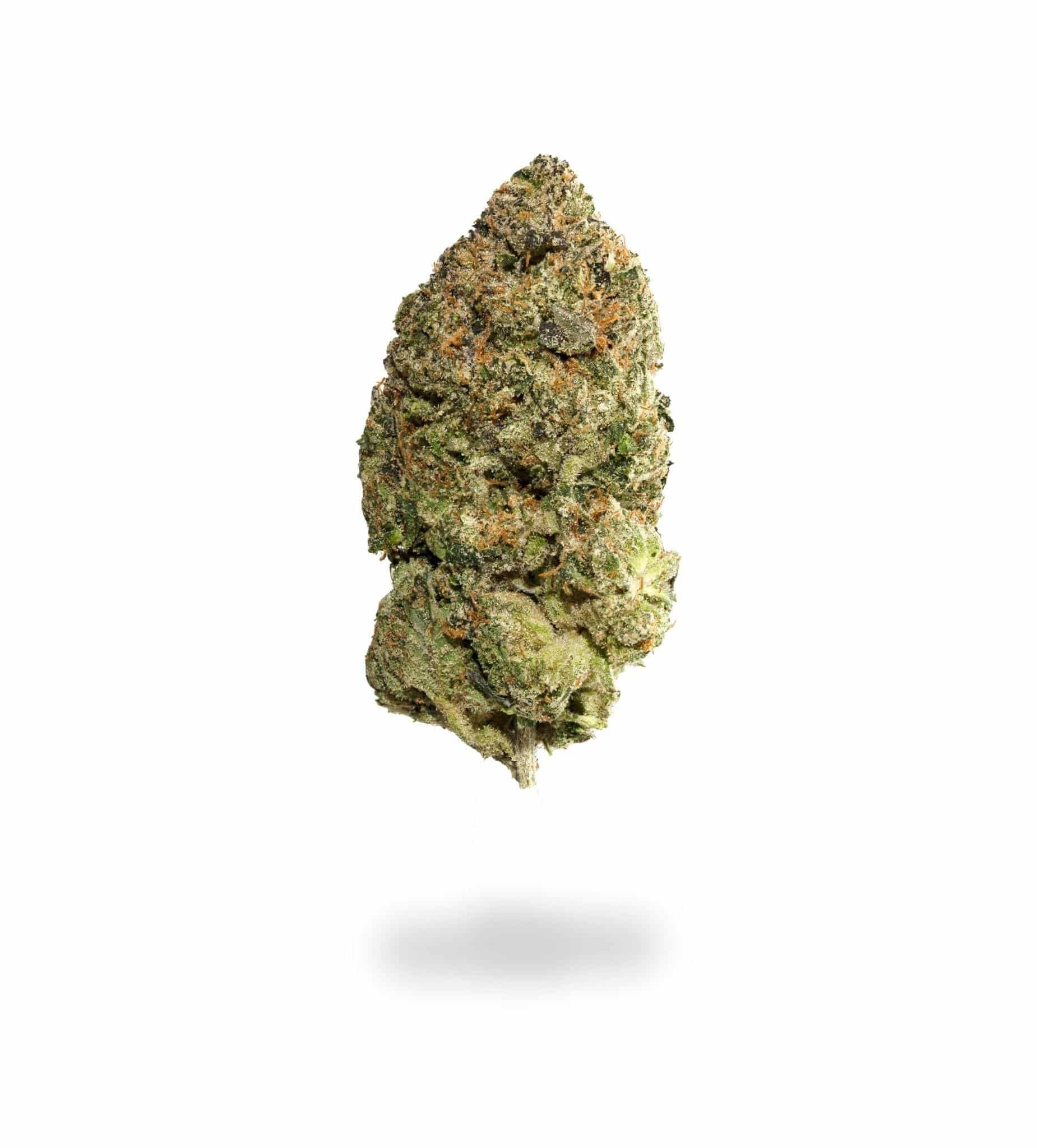 *SALE* Cream Soda (AAA+)
