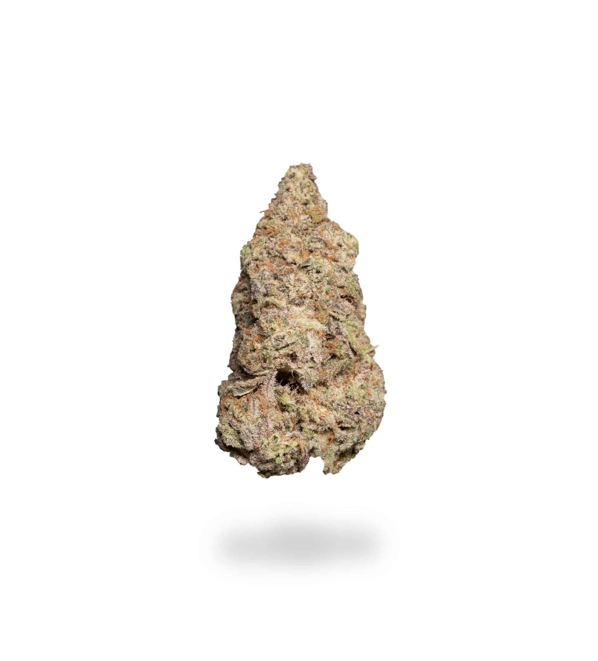 Purple Mimosa (AAAA)