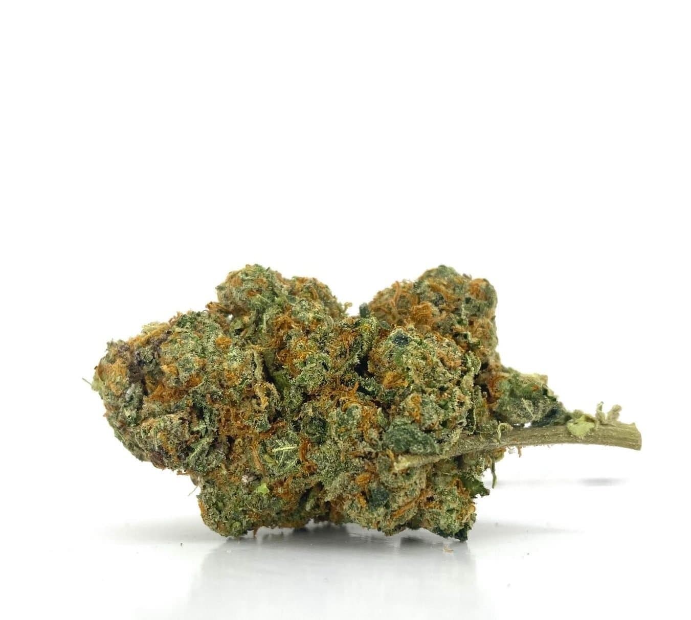 *SALE* King Crasher (AAA++)