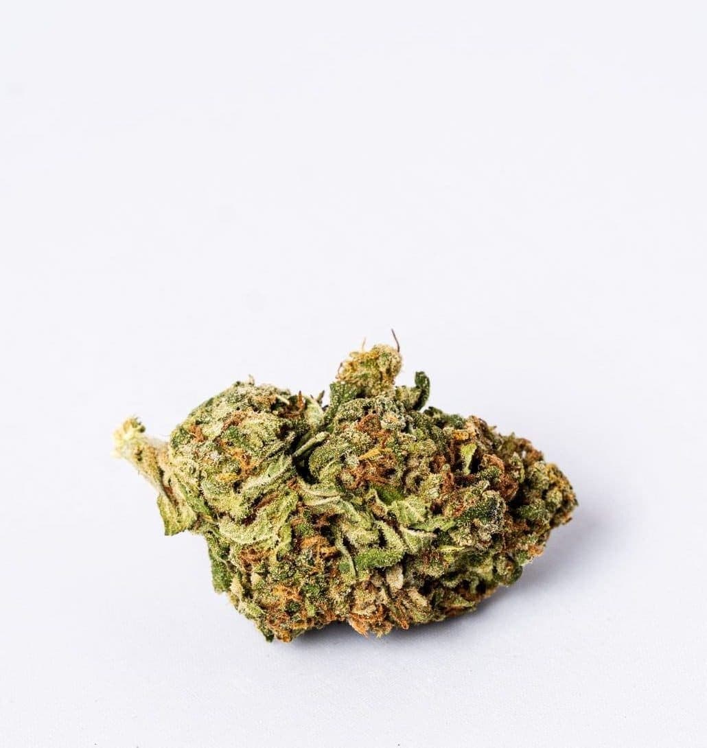 Gorilla Glue (AA-)