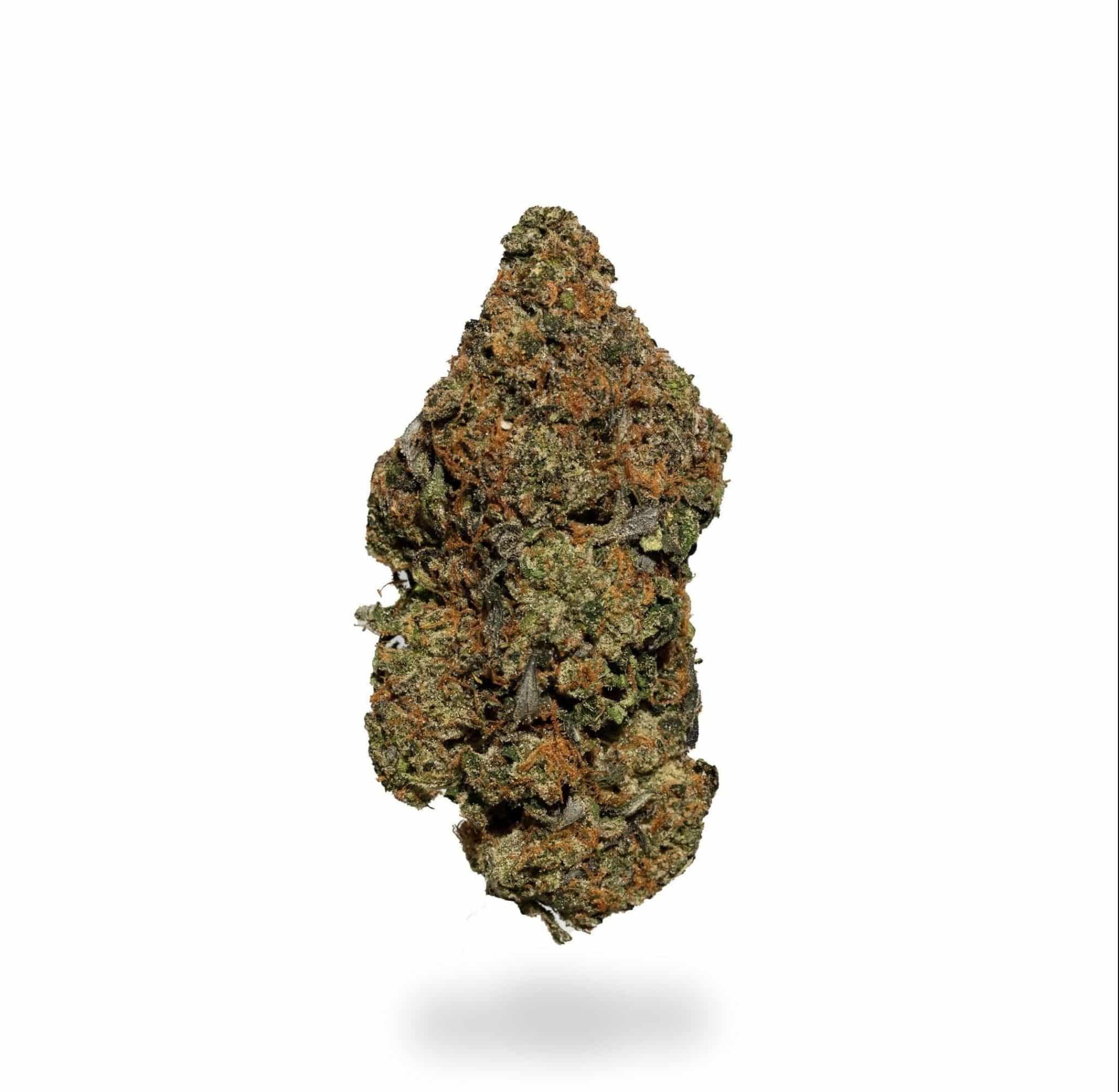 *Sale* Grape Gatsby (AAA-)