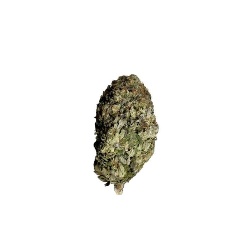 Rainbow Sherbet #11 (AA-)