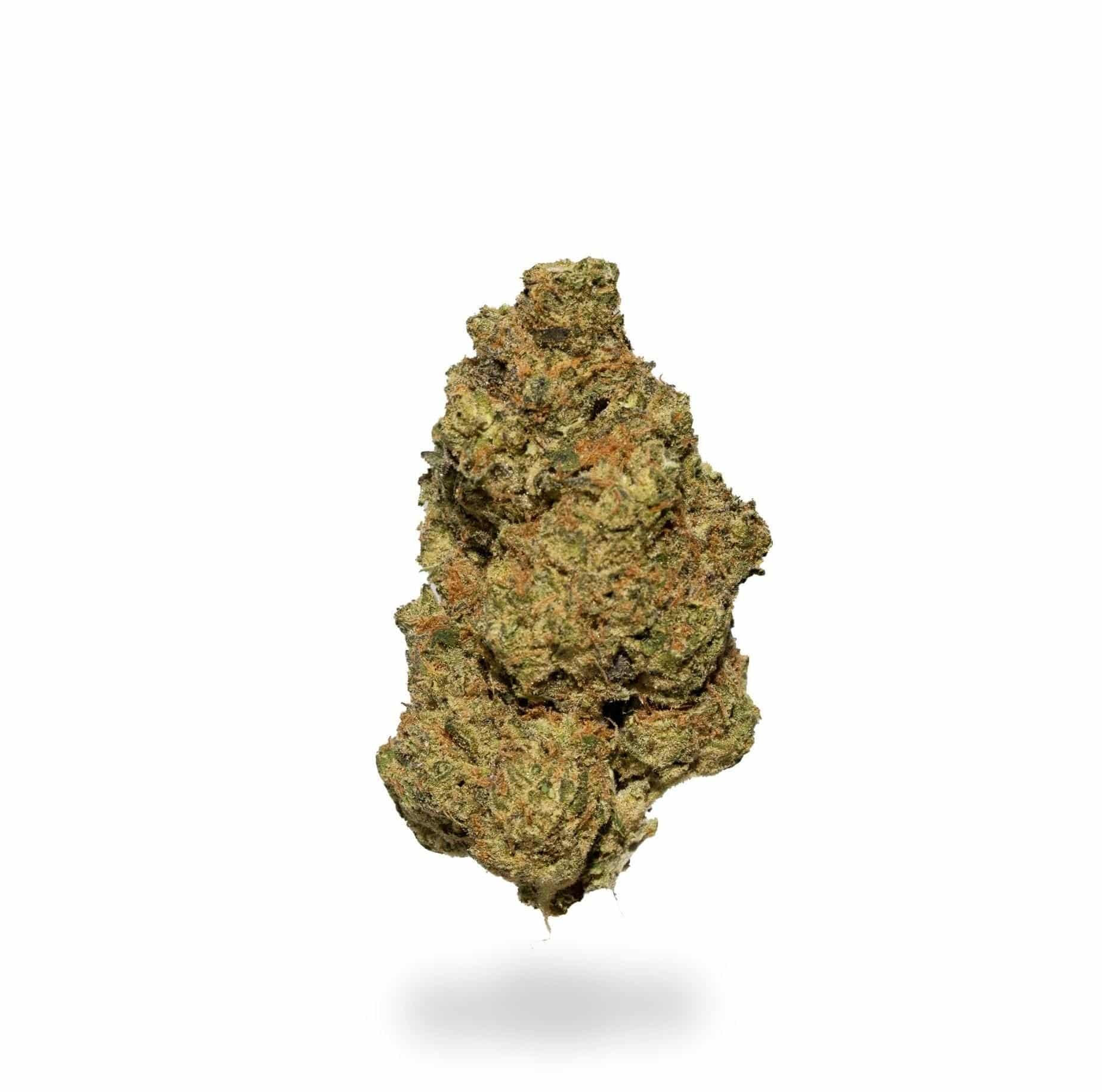 *SALE* Master Skunk (AAA-)