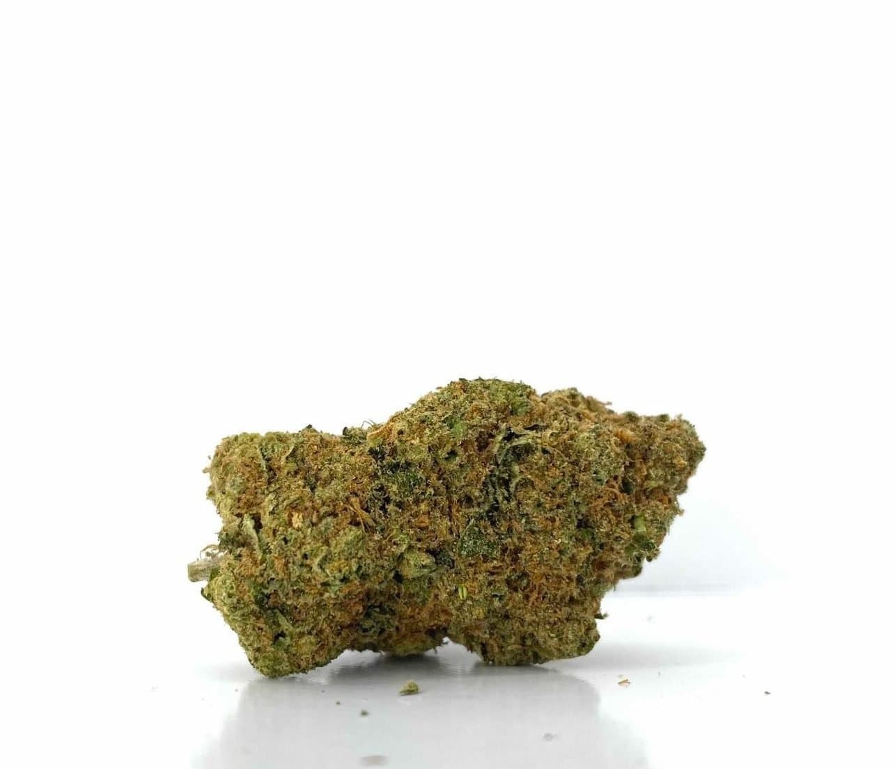 Red Rhino (AA)