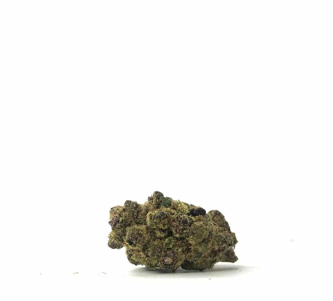 Granddaddy Purple (AAAA-)