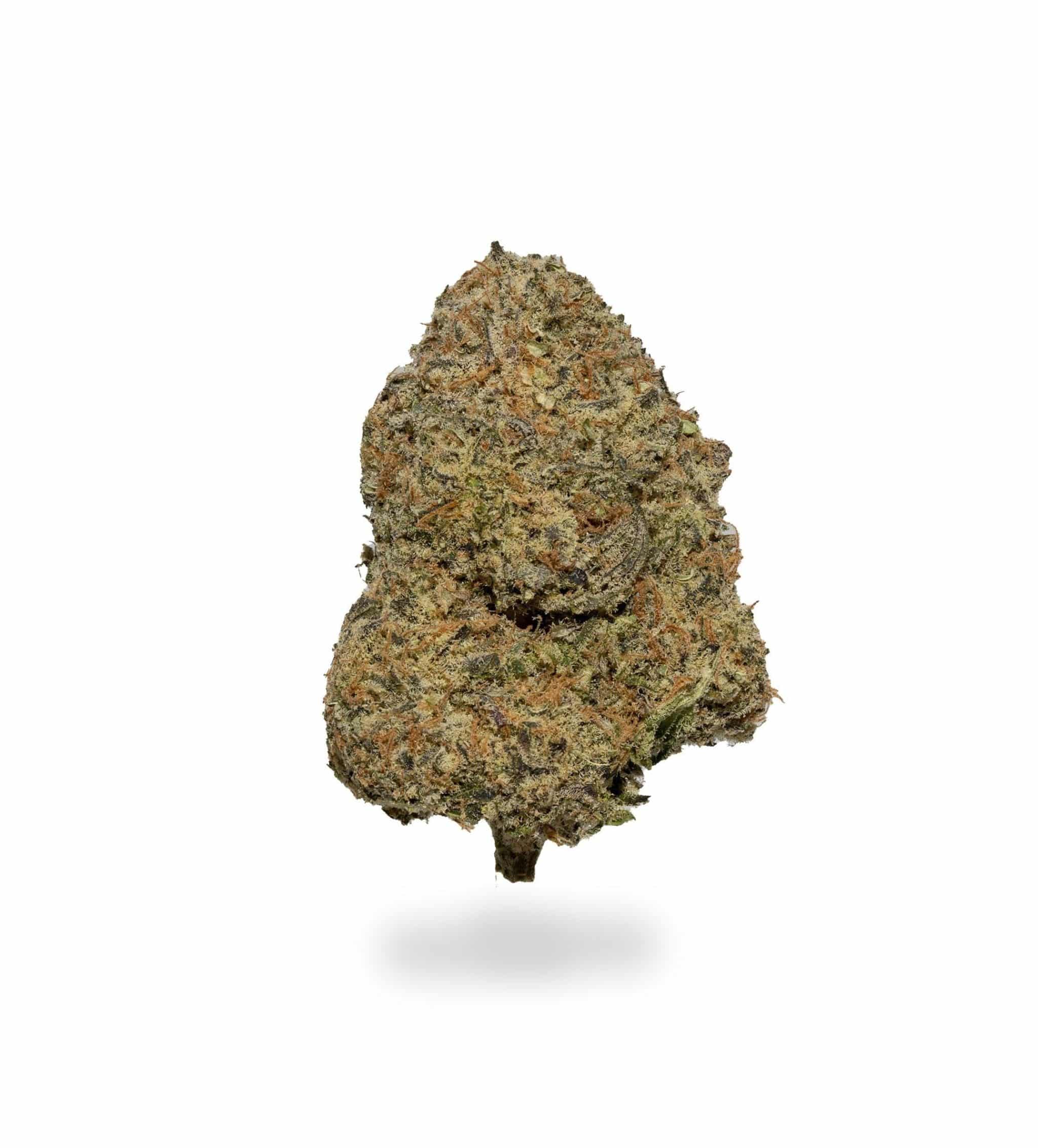 Yoda's Brain (AAAAA+)