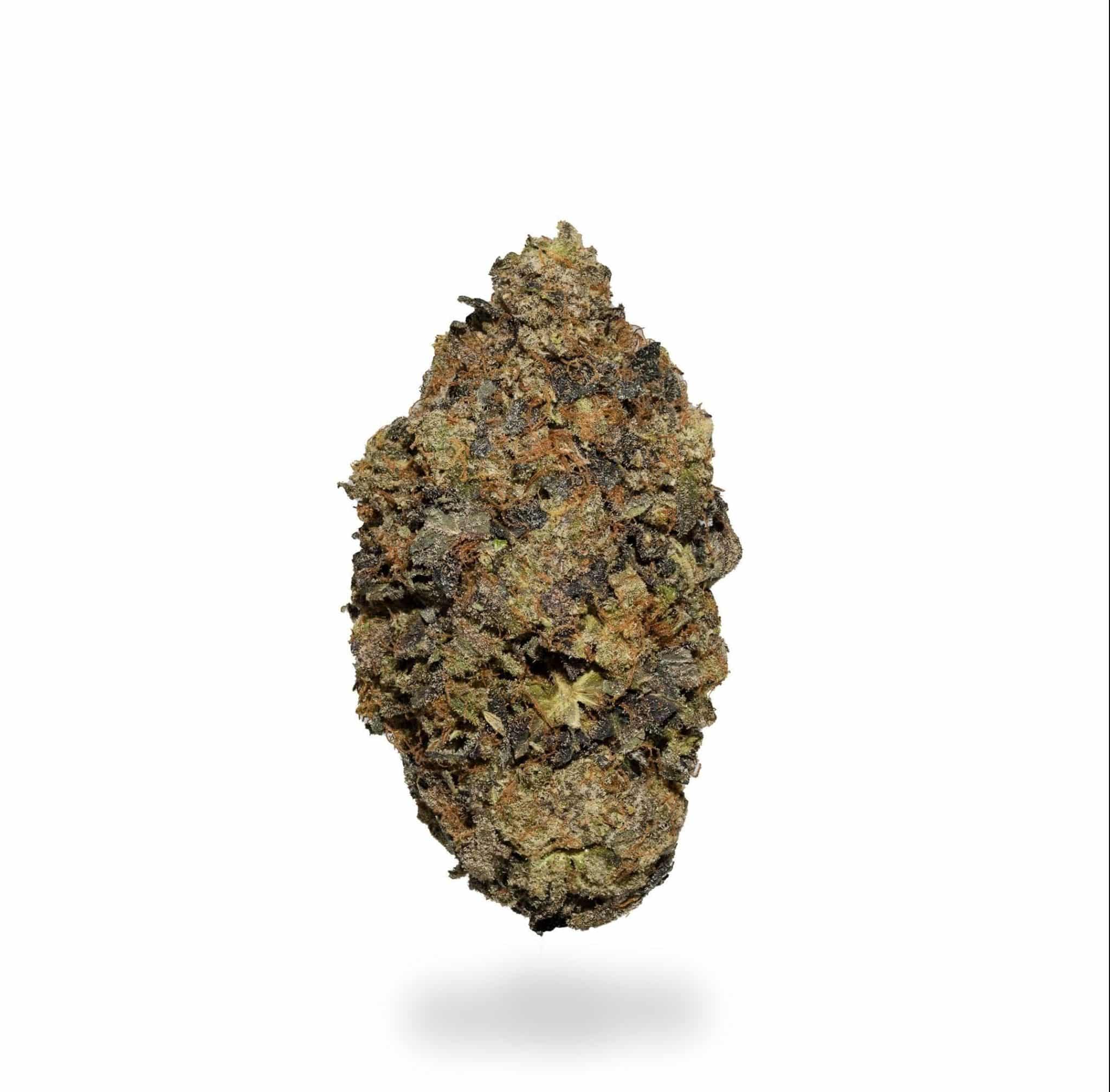 Sugar Shack (AAAA+)