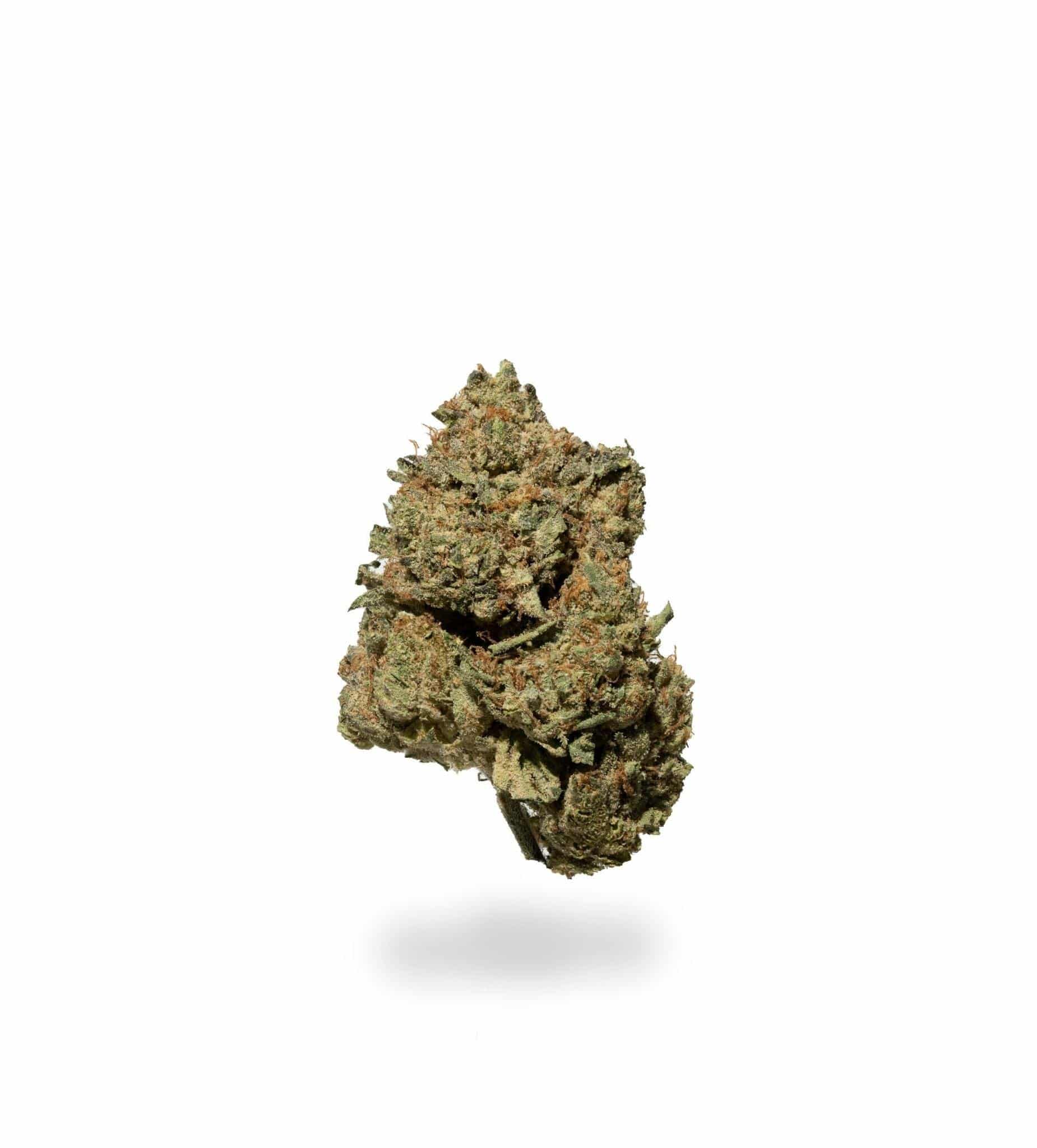 White Rhino (AAA-)