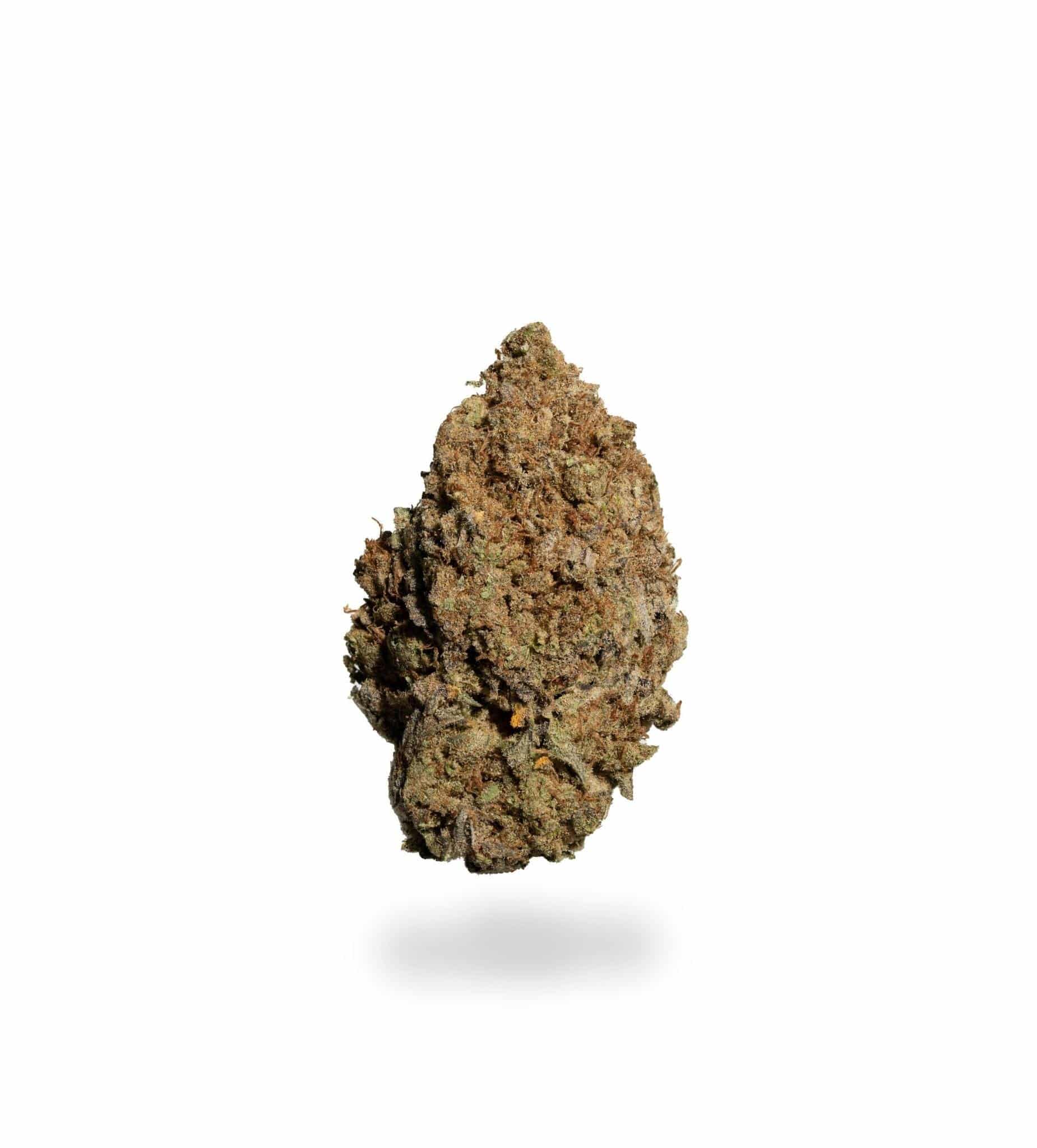Gorilla Butter (AAA+)