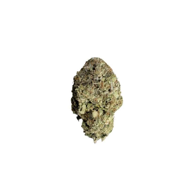 Island Sweet Skunk (AA-)